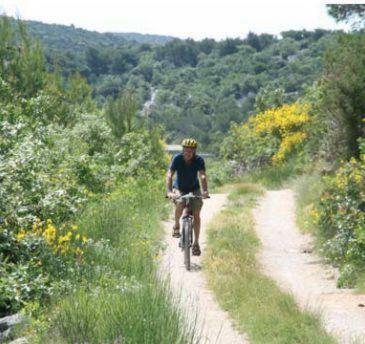 Apartmán Kate With Sea View, Balcony And Parking, Murter, Dalmatia *